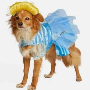 NWT Size M DISNEY Tails CINDERELLA Pet COSTUME Halloween DOG Pet COSTUME